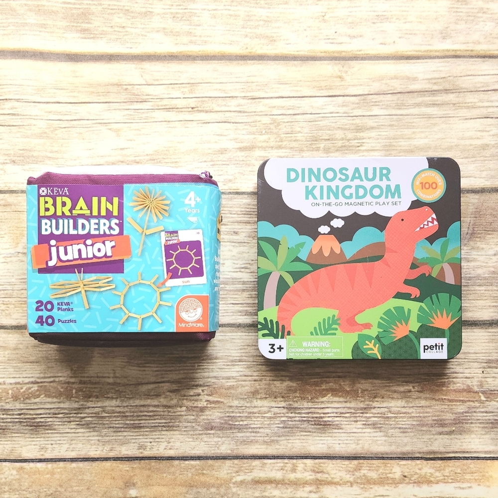 Dinosaur Kingdom Magnetic Play Set & Brain Builders Junior 4+